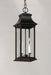 Maxim - 30029CLBK - Two Light Outdoor Hanging Lantern - Vicksburg - Black