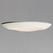 Maxim - 57863WTWT - LED Flush Mount - Diverse - White