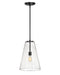 Hinkley - 41047SK - LED Pendant - Vance - Satin Black