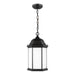 Generation Lighting. - 6238751-12 - One Light Outdoor Pendant - Sevier - Black