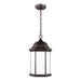 Generation Lighting. - 6238751-71 - One Light Outdoor Pendant - Sevier - Antique Bronze