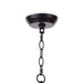 Regina Andrew - 16-1269 - 13 Light Chandelier - Caden - Blackened Iron