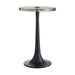 Arteriors - 4798 - Table - Eric - Natural Iron