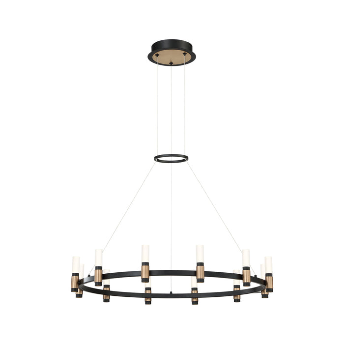 Eurofase - 37043-018 - LED Chandelier - Albany - Deep Black/Brass