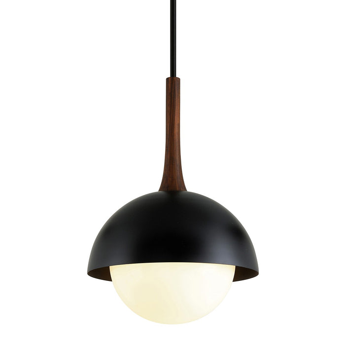 Troy Lighting - F7646-SBK - One Light Pendant - Cadet - Soft Black