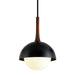 Troy Lighting - F7646-SBK - One Light Pendant - Cadet - Soft Black