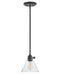 Hinkley - 3697BK-CL - LED Pendant - Arti - Black