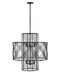 Hinkley - 41065BLK - LED Chandelier - Nikko - Black