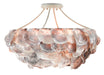 Currey and Company - 9000-0755 - Six Light Chandelier - Seahouse - Smokewood/Natural Shell