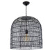 Regina Andrew - 16-1294BLK - One Light Pendant - Fresco - Black