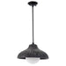 Regina Andrew - 16-1349EB - One Light Pendant - Surfside - Ebony