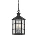 Troy Lighting - F2526-FRN - Four Light Outdoor Lantern - Lake County - French Iron