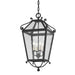 Troy Lighting - F4128-FRN - Four Light Outdoor Lantern - Santa Barbara County - French Iron