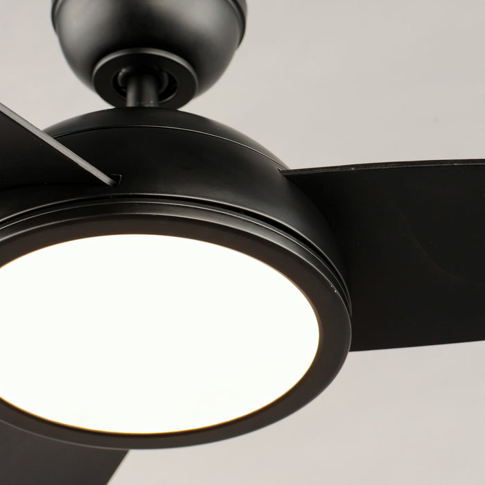 Maxim - 88801BK - 52"Ceiling Fan - Cupola - Black