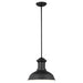 Generation Lighting. - 6247701-12 - One Light Outdoor Pendant - Fredricksburg - Black