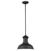 Generation Lighting. - 6247701EN3-12 - One Light Outdoor Pendant - Fredricksburg - Black