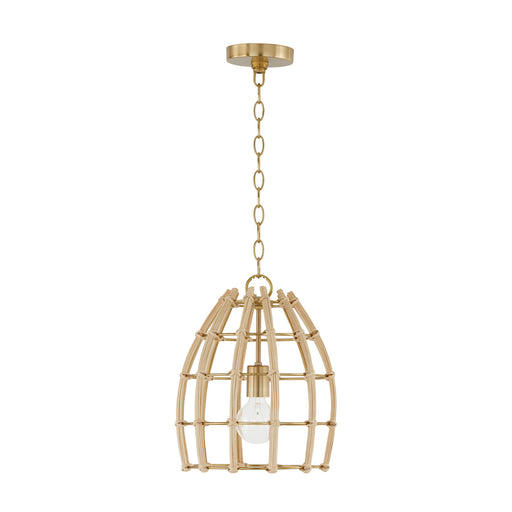 Capital Lighting - 344111MA - One Light Pendant - Wren - Matte Brass