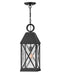 Hinkley - 23302MB - LED Hanging Lantern - Briar - Museum Black