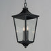 Maxim - 40239CLBK - Two Light Outdoor Hanging Lantern - Sutton Place VX - Black