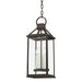 Troy Lighting - F2749-FRN - Four Light Outdoor Lantern - Sanders - French Iron