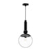 Alora - PD560510MBCL - One Light Pendant - Delilah - Clear Glass/Matte Black