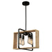 Artcraft - AC11714BK - Four Light Pendant - Perris - Black