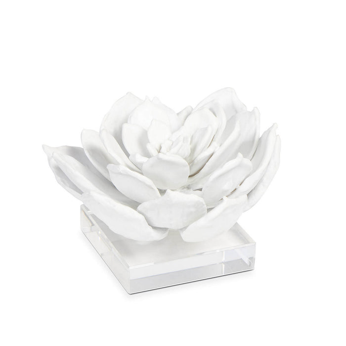 Regina Andrew - 20-1483 - Sculpture - Succulent - White