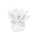 Regina Andrew - 20-1484 - Sculpture - Succulent - White