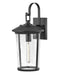 Lark - 82024BK - LED Wall Lantern - Banks - Black