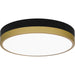 Quoizel - WLN1611MBKG - LED Flush Mount - Weldin - Matte Black Gold