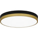 Quoizel - WLN1615MBKG - LED Flush Mount - Weldin - Matte Black Gold