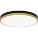 Quoizel - WLN1620MBKG - LED Flush Mount - Weldin - Matte Black Gold