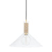 Mitzi - H622701L-AGB - One Light Pendant - Besa - Aged Brass