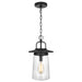 Generation Lighting. - 6208901-12 - One Light Outdoor Pendant - Tybee - Black