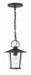 Crystorama - AND-9203-CL-MK - One Light Outdoor Chandelier - Andover - Matte Black