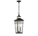 Savoy House - 5-717-143 - Two Light Outdoor Hanging Lantern - Kingsley - Matte Black with Warm Brass