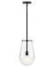 Hinkley - 32087BK - LED Pendant - Beck - Black