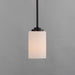 Maxim - 90030SWBK - One Light Mini Pendant - Deven - Black