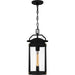 Quoizel - CLI1909EK - One Light Outdoor Hanging Lantern - Clifton - Earth Black