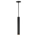 ET2 - E11012-BK - LED Pendant - Reeds - Black