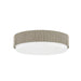 Troy Lighting - C4514-PBR - LED Flush Mount - Zane - Patina Brass