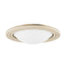 Troy Lighting - C8916-PBR - LED Flush Mount - Zion - Patina Brass