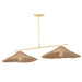 Troy Lighting - F8755-VGL - Two Light Island Pendant - Valier - Vintage Gold Leaf