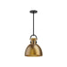 Alora - PD411311MBAG - One Light Pendant - Waldo - Matte Black/Aged Gold