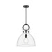 Alora - PD411814MBCL - One Light Pendant - Waldo - Matte Black/Clear Glass