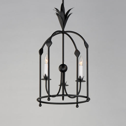 Maxim - 2884AR - Three Light Foyer Pendant - Paloma - Anthracite