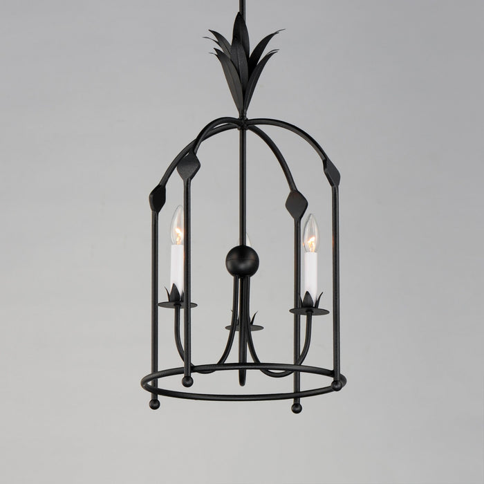 Maxim - 2884AR - Three Light Foyer Pendant - Paloma - Anthracite