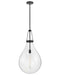 Hinkley - 46054BK - LED Pendant - Eloise - Black