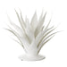 Currey and Company - 1200-0778 - Objet - Marjorie Skouras - Gesso White