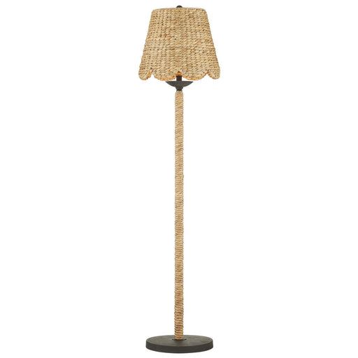 Currey and Company - 8000-0139 - One Light Floor Lamp - Suzanne Duin - Natural/Molé Black